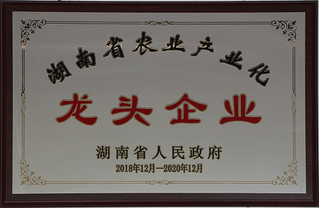 湖南省農(nóng)業(yè)產(chǎn)業(yè)化龍頭企業(yè)