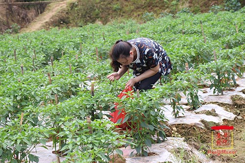 湖南華億生態(tài)農(nóng)業(yè)發(fā)展有限責任公司,株洲農(nóng)家樂,湖南戶外拓展,株洲哪里好玩,自助燒烤,露營,會議團體接待