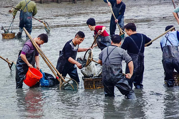 湖南華億生態(tài)農業(yè)發(fā)展有限責任公司,株洲農家樂,湖南戶外拓展,株洲哪里好玩,自助燒烤,露營,會議團體接待