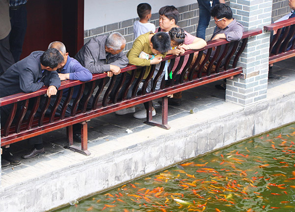 湖南華億生態(tài)農(nóng)業(yè)發(fā)展有限責(zé)任公司,株洲農(nóng)家樂(lè),湖南戶(hù)外拓展,株洲哪里好玩,自助燒烤,露營(yíng),會(huì)議團(tuán)體接待