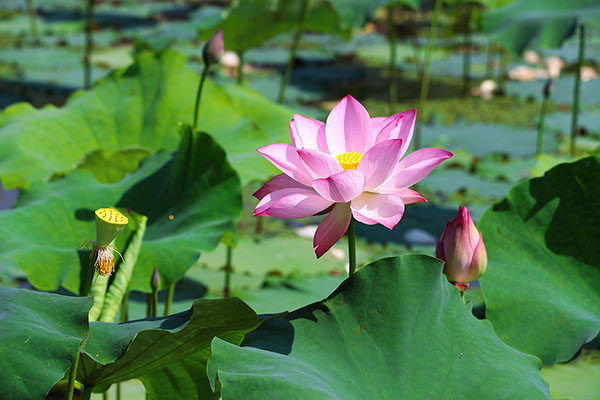 湖南華億生態(tài)農(nóng)業(yè)發(fā)展有限責(zé)任公司,株洲農(nóng)家樂,湖南戶外拓展,株洲哪里好玩,自助燒烤,露營,會(huì)議團(tuán)體接待