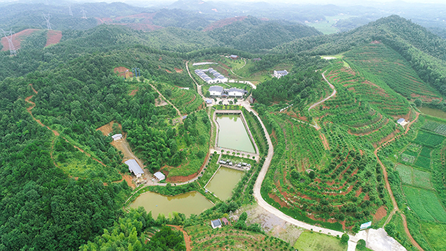 湖南華億生態(tài)農(nóng)業(yè)發(fā)展有限責(zé)任公司,株洲農(nóng)家樂(lè),湖南戶外拓展,株洲哪里好玩,自助燒烤,露營(yíng),會(huì)議團(tuán)體接待