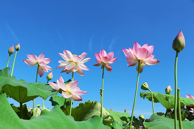 湖南華億生態(tài)農(nóng)業(yè)發(fā)展有限責(zé)任公司,株洲農(nóng)家樂(lè),湖南戶外拓展,株洲哪里好玩,自助燒烤,露營(yíng),會(huì)議團(tuán)體接待