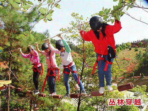 戶外拓展,自助燒烤,露營,會議團(tuán)體接待，團(tuán)建，