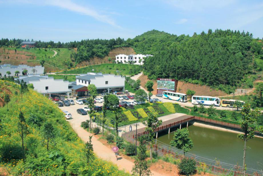 戶外拓展,自助燒烤,露營,會議團體接待，團建，