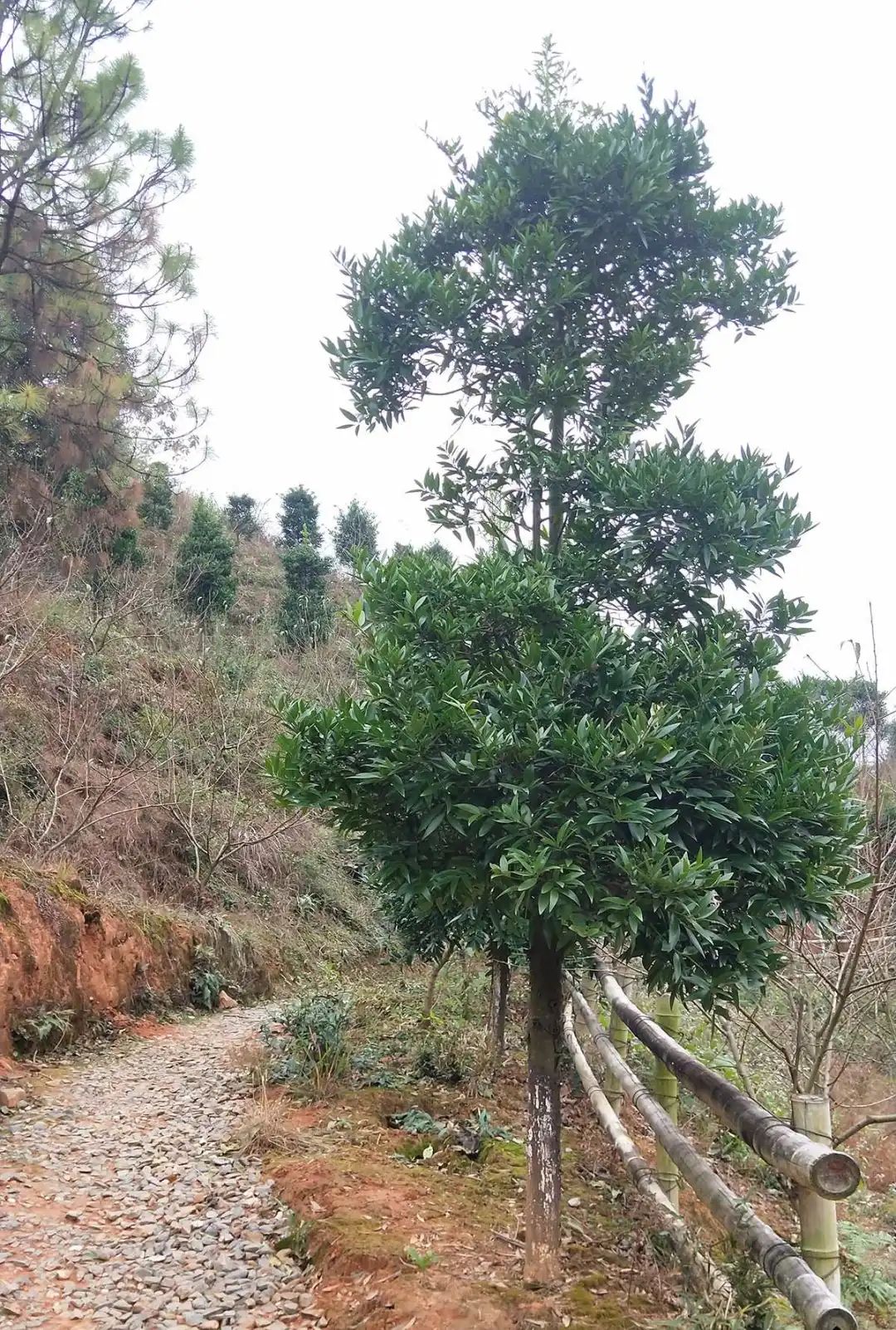 戶外拓展,自助燒烤,露營,會議團(tuán)體接待，團(tuán)建，