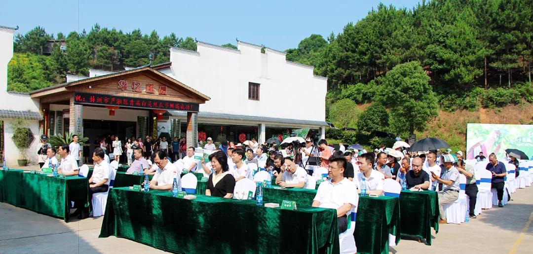 戶外拓展,自助燒烤,露營,會議團體接待，團建，