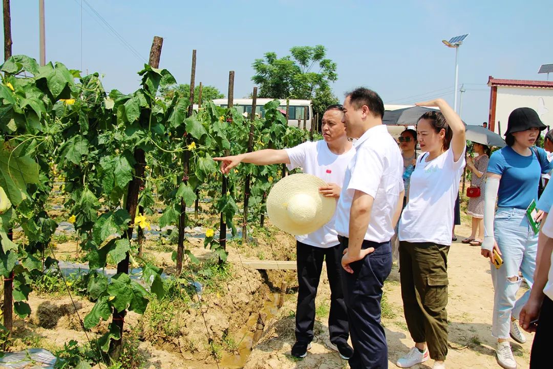 戶外拓展,自助燒烤,露營,會議團體接待，團建，