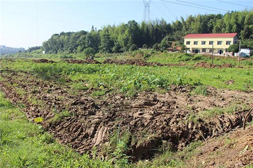 戶外拓展,自助燒烤,露營,會議團體接待，團建，