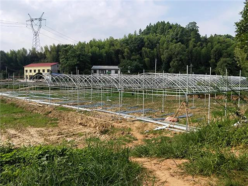 戶外拓展,自助燒烤,露營,會議團體接待，團建，