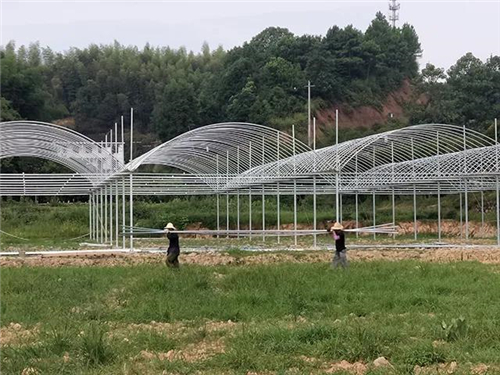 戶外拓展,自助燒烤,露營,會議團體接待，團建，