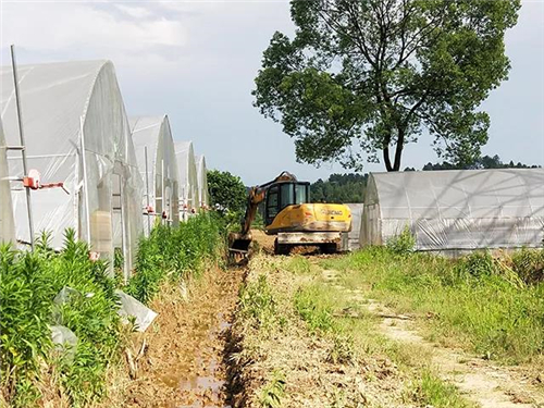 戶外拓展,自助燒烤,露營,會議團體接待，團建，