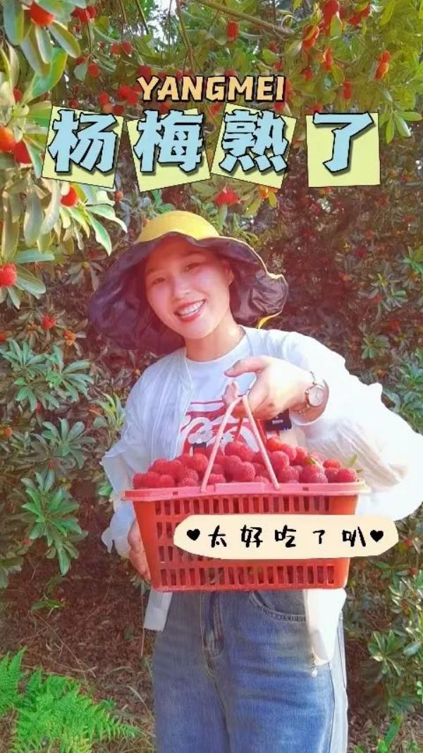 戶外拓展,自助燒烤,露營,會議團(tuán)體接待，團(tuán)建，
