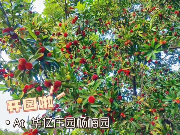 戶外拓展,自助燒烤,露營,會議團(tuán)體接待，團(tuán)建，