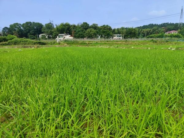 戶外拓展,自助燒烤,露營(yíng),會(huì)議團(tuán)體接待，團(tuán)建，