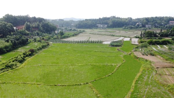 戶外拓展,自助燒烤,露營(yíng),會(huì)議團(tuán)體接待，團(tuán)建，