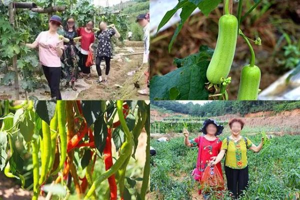 戶外拓展,自助燒烤,露營(yíng),會(huì)議團(tuán)體接待，團(tuán)建，